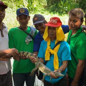 Mabuwaya Foundation (Binatug community leaders with crocodile before release)