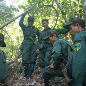 Fauna & Flora International (Rangers recording animal sign by smartphone during patrolling in Pu Mat National Park)