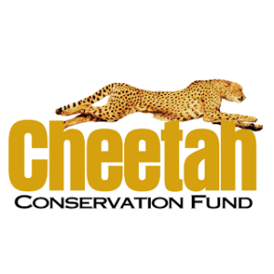 CCF Logo